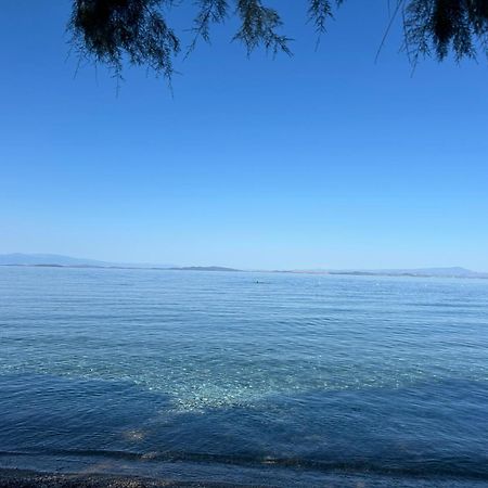Fotis Apartments Skala Neon Kydonion المظهر الخارجي الصورة
