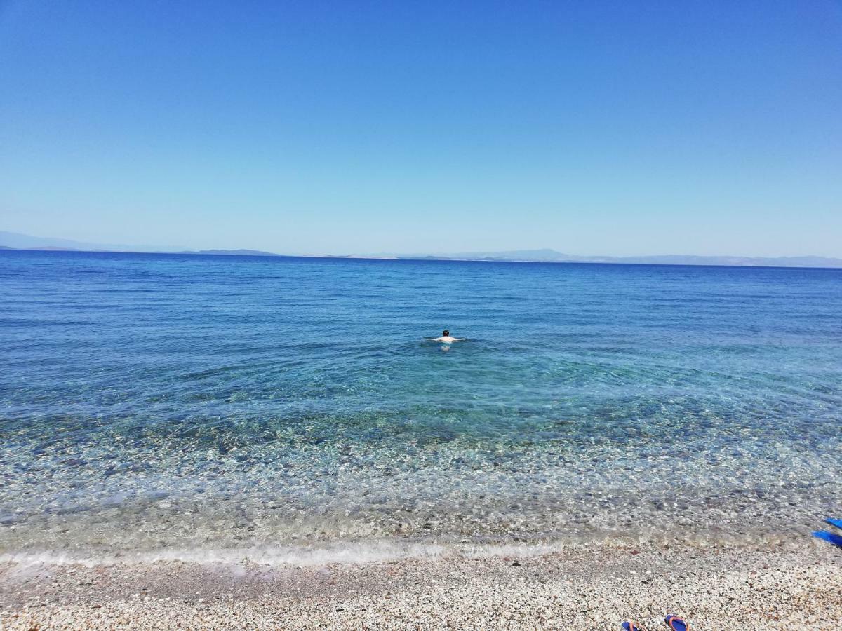 Fotis Apartments Skala Neon Kydonion المظهر الخارجي الصورة